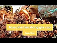 Thu mua phế liệu ĐỒNG giá cao Toàn Phát - Hoa Hồng cao 【40%】