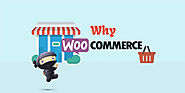 Why WooCommerce is good for E-Commerce Business?