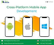 Cross-Platform Mobile App Developer