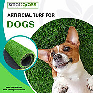 Artificial Turf for Dogs - Smart Grass USA