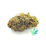 THE REAL DEAL HOLYFIELD BY QUADCITY BC - AAAA+ - INDICA - EZ Weed Online