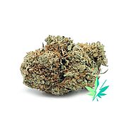 UBC Chemo AA Indica | EZ Weed Online | Best Weed Dispensary