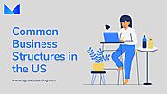 Common Business Structures in the US