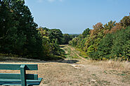 Toboggan Hill Park