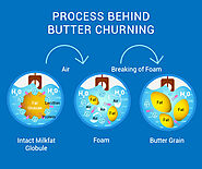 Churning Butter: A Fun and Tasty Activity for the Whole Family