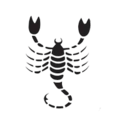 Scorpio