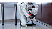 Best Pest Control services in India at Affordable Price | Hicare