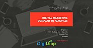 Owning a small business? You need an expert Digital Marketing Agency