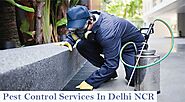 Pest Control Services In Delhi Ncr | Pest Control Company Near Me | Fauzpest Control