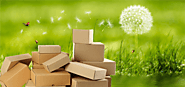 Articles - How Sustainable Packaging Helps in Increasing your Business?