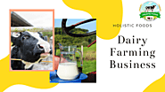 Dairy Business in Pakistan Initial Steps and Problems - Holistic Foods
