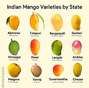 Mango varieties by State - Feedpulp