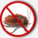 http://www.pestcontrolinghaziabad.com/termite-control.html