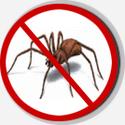 http://www.pestcontrolinghaziabad.com/ants-control.html