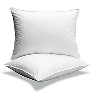 The Pillow Debate: Memory Foam vs. Latex Foam - Buy Foam Mattress