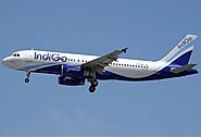 Indigo - Compare & Book Flights | Indigo Baggage, Web Check in | Travarc