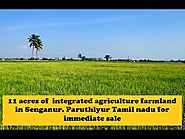 11 acres of integrated agriculture farmland in Senganur. Paruthiyur Tamil nadu for immediate sale