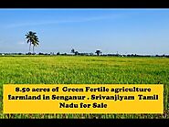 8.50 acres of Green Fertile agriculture farmland in Senganur . Srivanjiyam Tamil Nadu for Sale