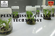 Plant Tissue Culture Technology: an opportunity for research and commercialization