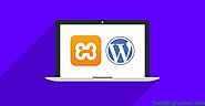 How To Run WordPress Locally on Windows Using XAMPP - TechBlogCorner®