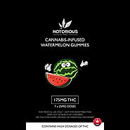 Notorious THC – Watermelon Gummies (175MG THC)