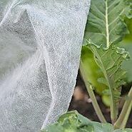 UK Made Plant Protection Covers for Gardens