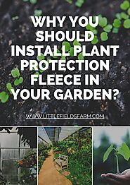 [PDF]Why You Should Install Plant Protection Fleece In Your Garden? - SlideServe