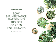 [Blog]Low Maintenance Gardening Tips for Garden Enthusiasts @Bloglovin
