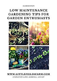 [PDF]Low Maintenance Gardening Tips for Garden Enthusiasts @SlideShare