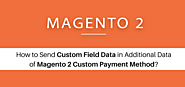 How to Send Custom Field Data in Additional Data of Magento 2 Custom Payment Method? - Ecommerce Trends 2020