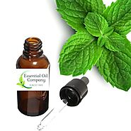 Peppermint Oil Wholesale from Authentic Manufacturer & Bulk Supplier