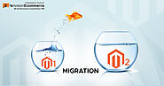 Magento Migration