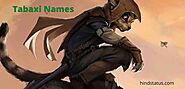 500+ Tabaxi Names That Is Interesting, Cool And Exciting - Hind Status