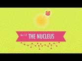 The Nucleus: Crash Course Chemistry #1