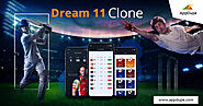 Contact Us to Make your Unique Dream11 like App