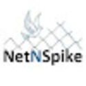 Net N Spike (SAANVI ENTERPRISES)