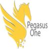 Pegasus One Software