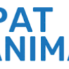 pat animation