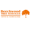 beechwood-treesurgeon