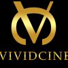 Vividcine Indian wedding videography Singapore