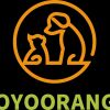 yoyo orange