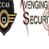 Avenging Security