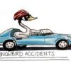 Snowbird Accidents