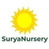 Surya Nursery Chandigarh