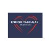 Encino Vascular Institute