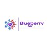 Blueberry Air