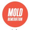 Mold Remediation and Inspection Greenville SC