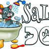 salondogmarketing