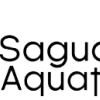 saguaroaquatics123