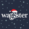 Waggster 